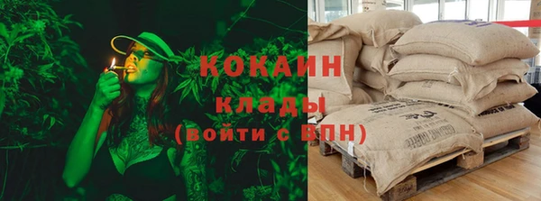 ПСИЛОЦИБИНОВЫЕ ГРИБЫ Кущёвская