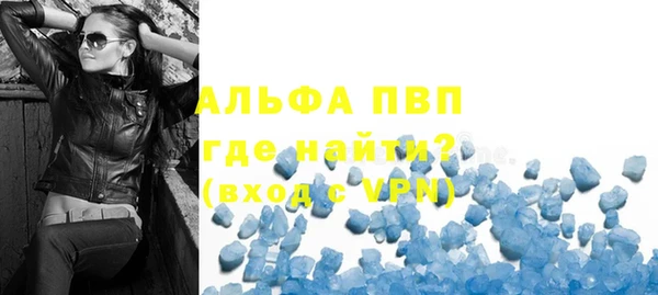 индика Абаза
