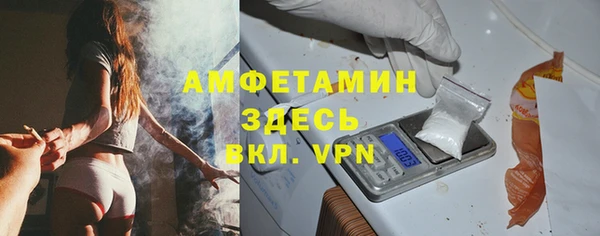 индика Абаза