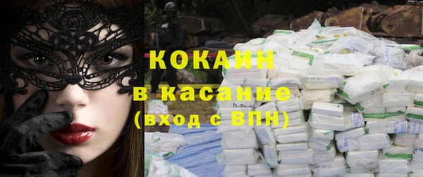 индика Абаза