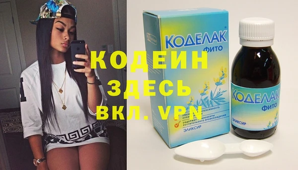 индика Абаза